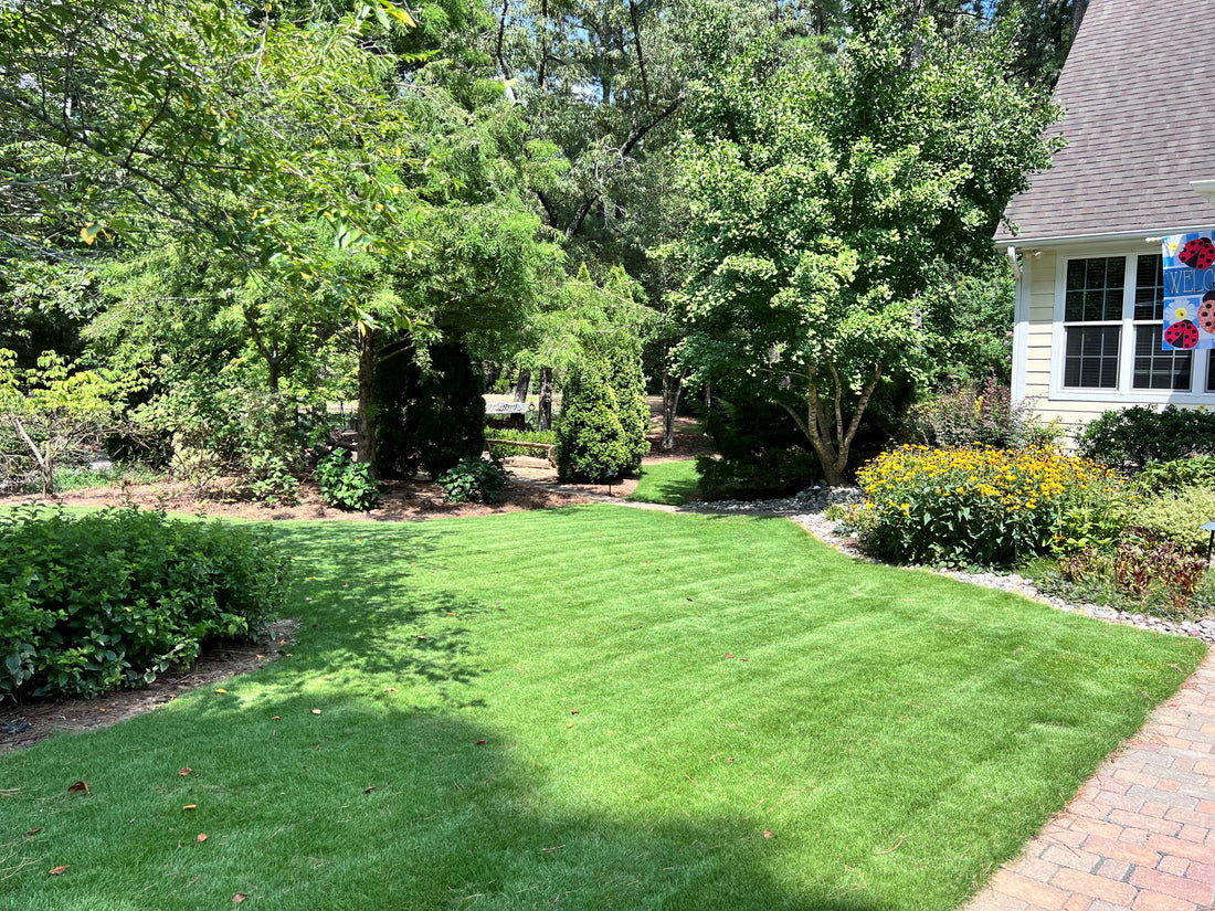 Summer Care For Your Landscape and Garden