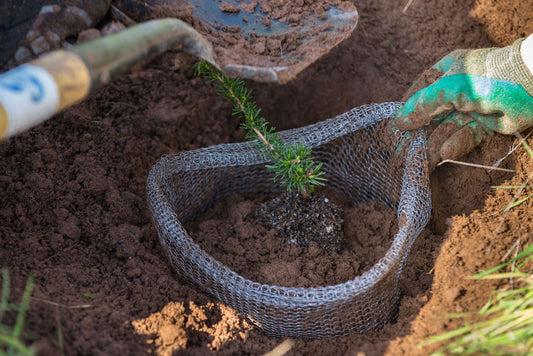 Vole King Wire Mesh Basket