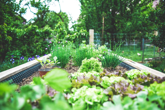 Saving Time in the Garden