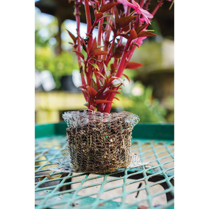 1 quart Vole Basket (pack of 4 baskets)