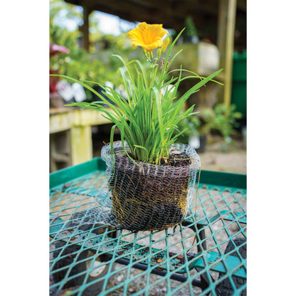 1 gallon Vole Basket (pack of 4 baskets)