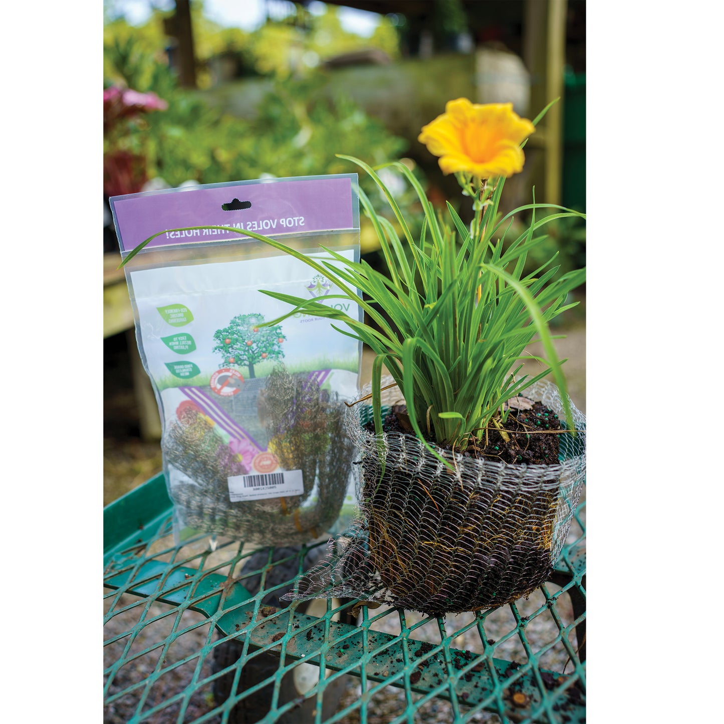 1 gallon Vole Basket (pack of 4 baskets)